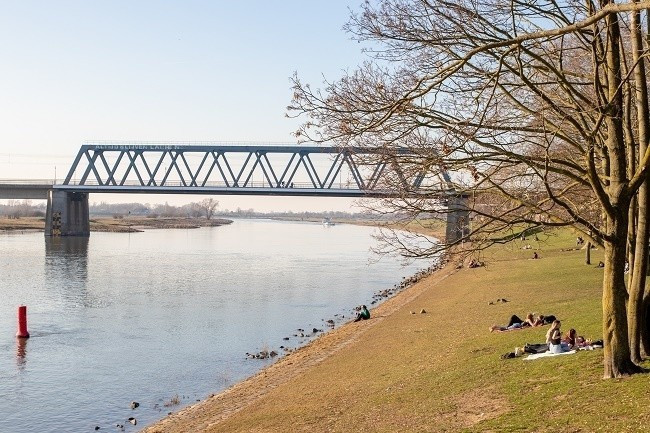 Kapjeswelle